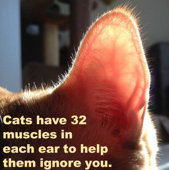 Screenshot 2025-11-26 175737.png