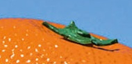 outspan.jpg