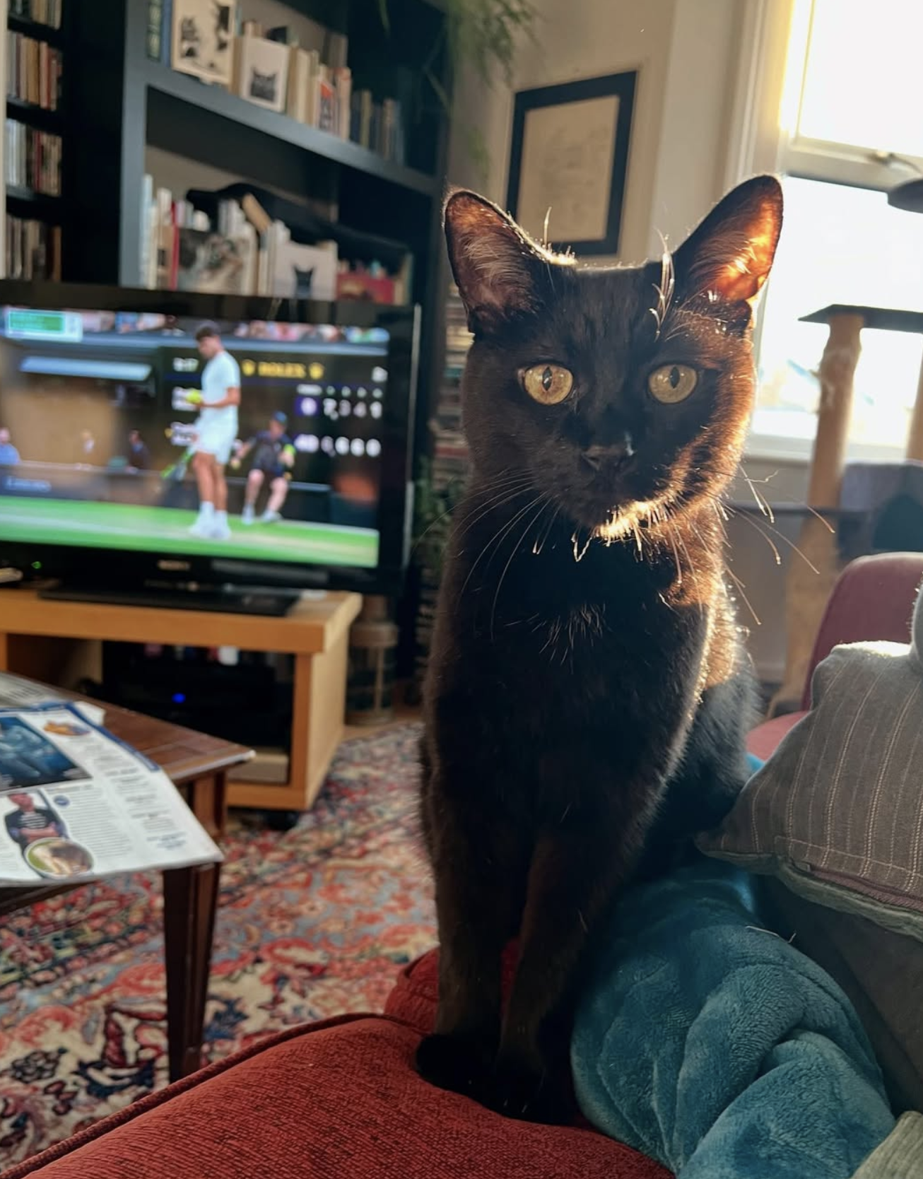 Screenshot 2025-10-28 at 14.42.12.png