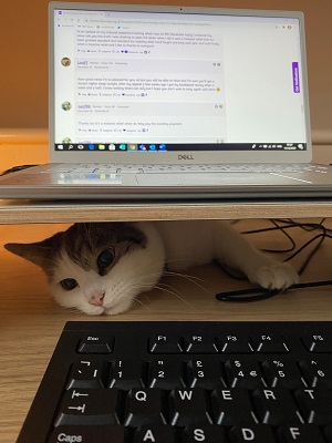 Image: https://us.v-cdn.net/6027153/uploads/editor/1s/nvl0muxi0gh5.jpg