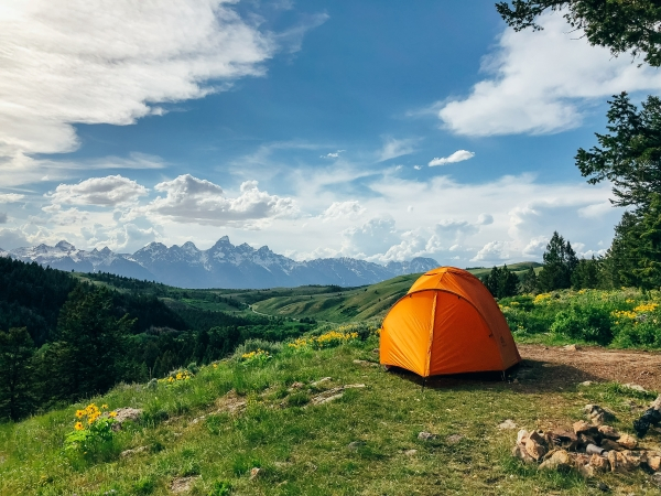 Sunny landscape with green trees and a blue sky There is a small orange tent on the right hand side