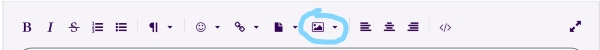 The icon bar before the text box, the add a photo option is circled.