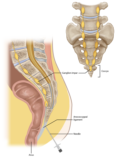 Image: https://us.v-cdn.net/6027153/uploads/editor/c1/itt4aufycf77.png