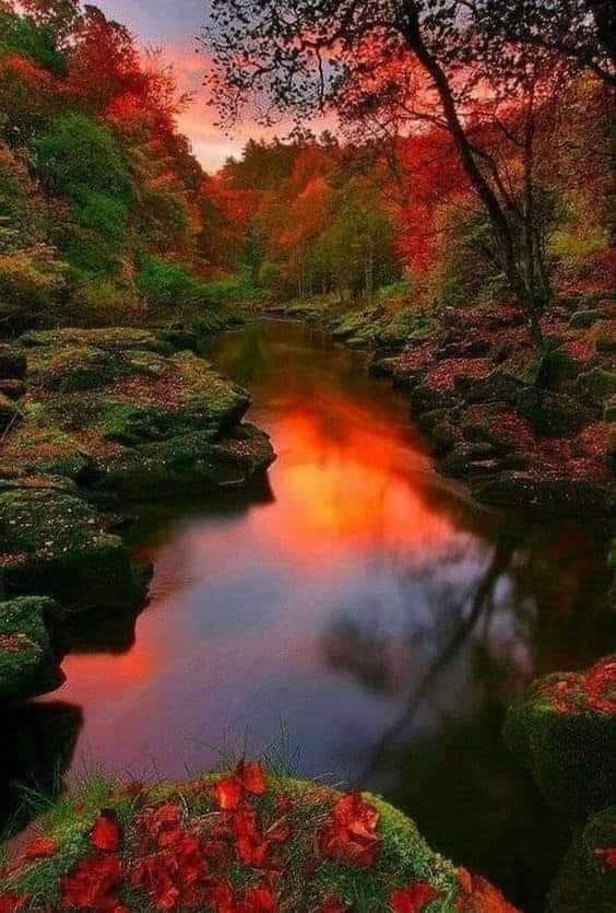 Image: https://us.v-cdn.net/6027153/uploads/editor/dc/m7tc9c3vep8y.jpg