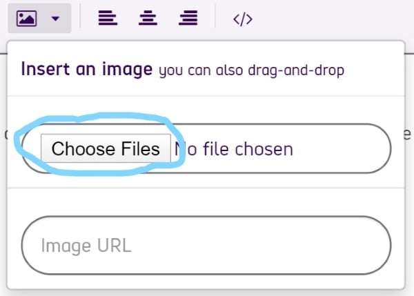 A drop down menu with the option to choose files.