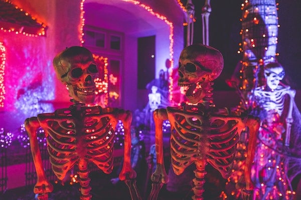 photo of skeletons in a spookily lit room