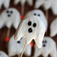 MarshmallowSpy