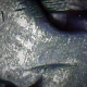 emeraldATV