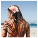 Paradisefound