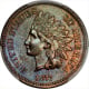 Copperindian