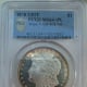 Morgan13
