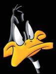 Duckman