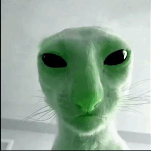 alien-cat-alien.png
