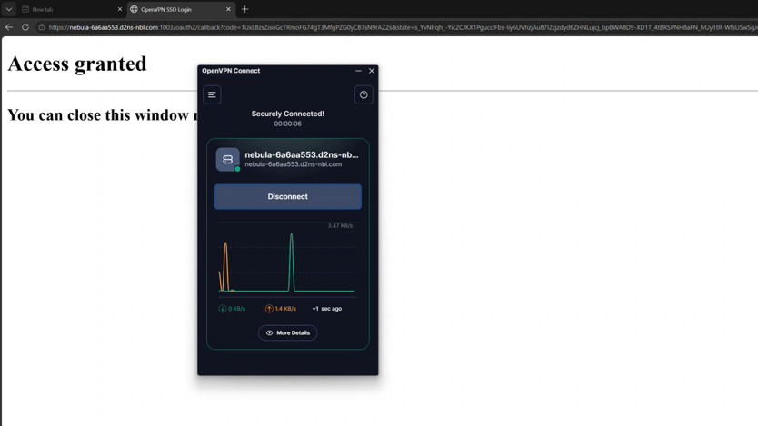 vpn_connect_success.png