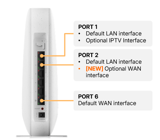 Image: https://us.v-cdn.net/6029482/uploads/editor/2q/0iggq6erg6hl.png