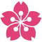 Sakura_T