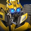 Bumblebee_Stings