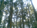 Photo of Farhan