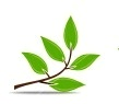 Photo of Balaji V S