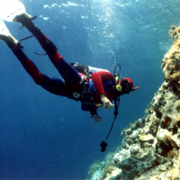 Dimitris58
