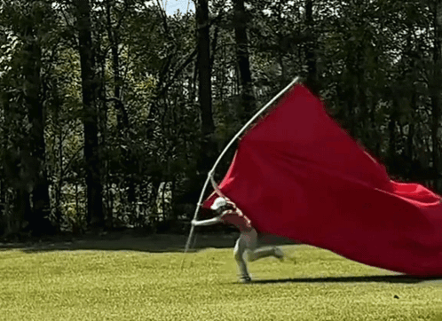 87f0hamk2y9v.gif