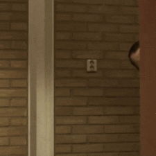 8s3jzlrjuk13.gif