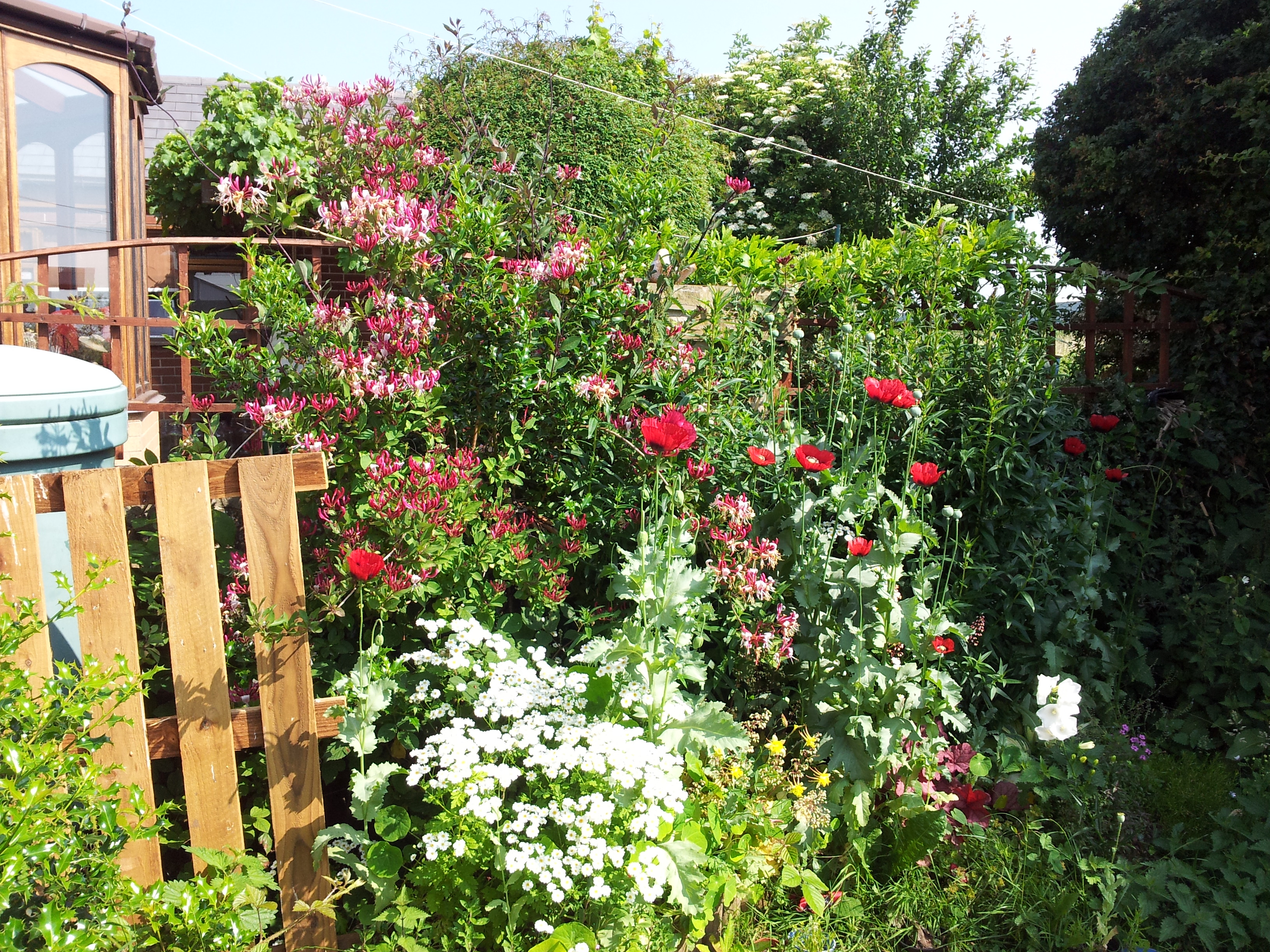 Ponds with rock edging and pebbles — BBC Gardeners' World Magazine