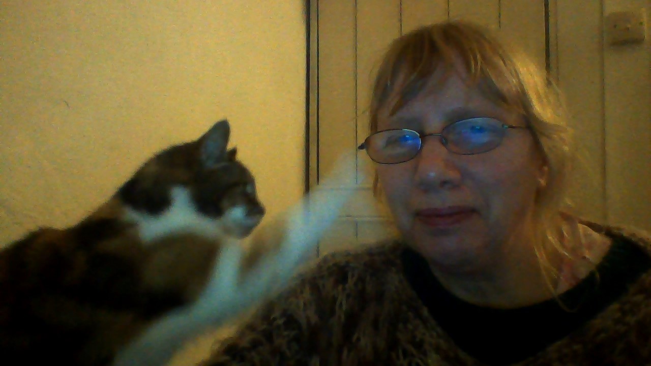 Pilosella aurantiaca