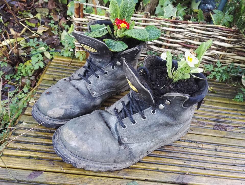 Avid Gardener 72