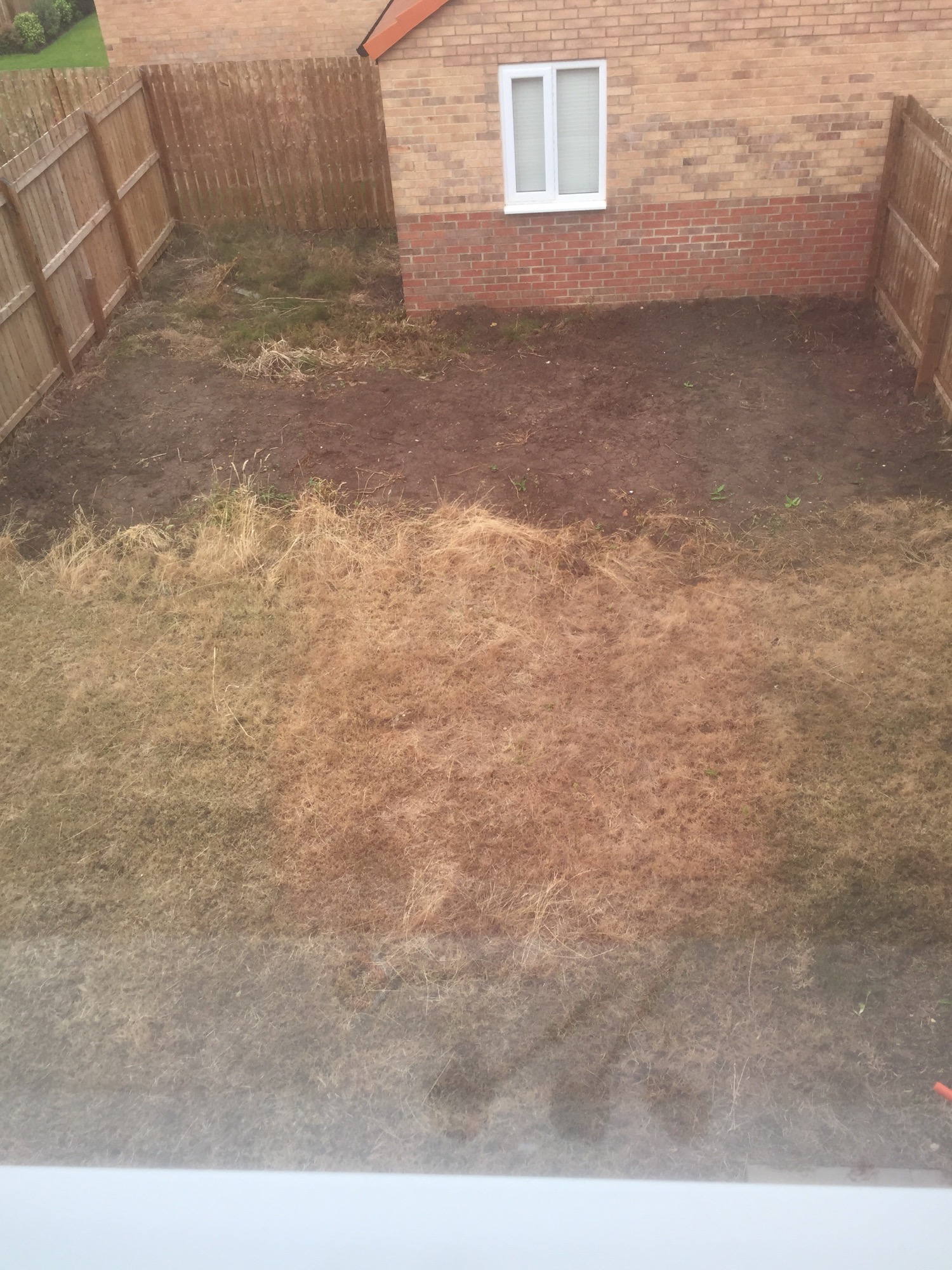 How to prepare for garden turf — BBC Gardeners' World Magazine