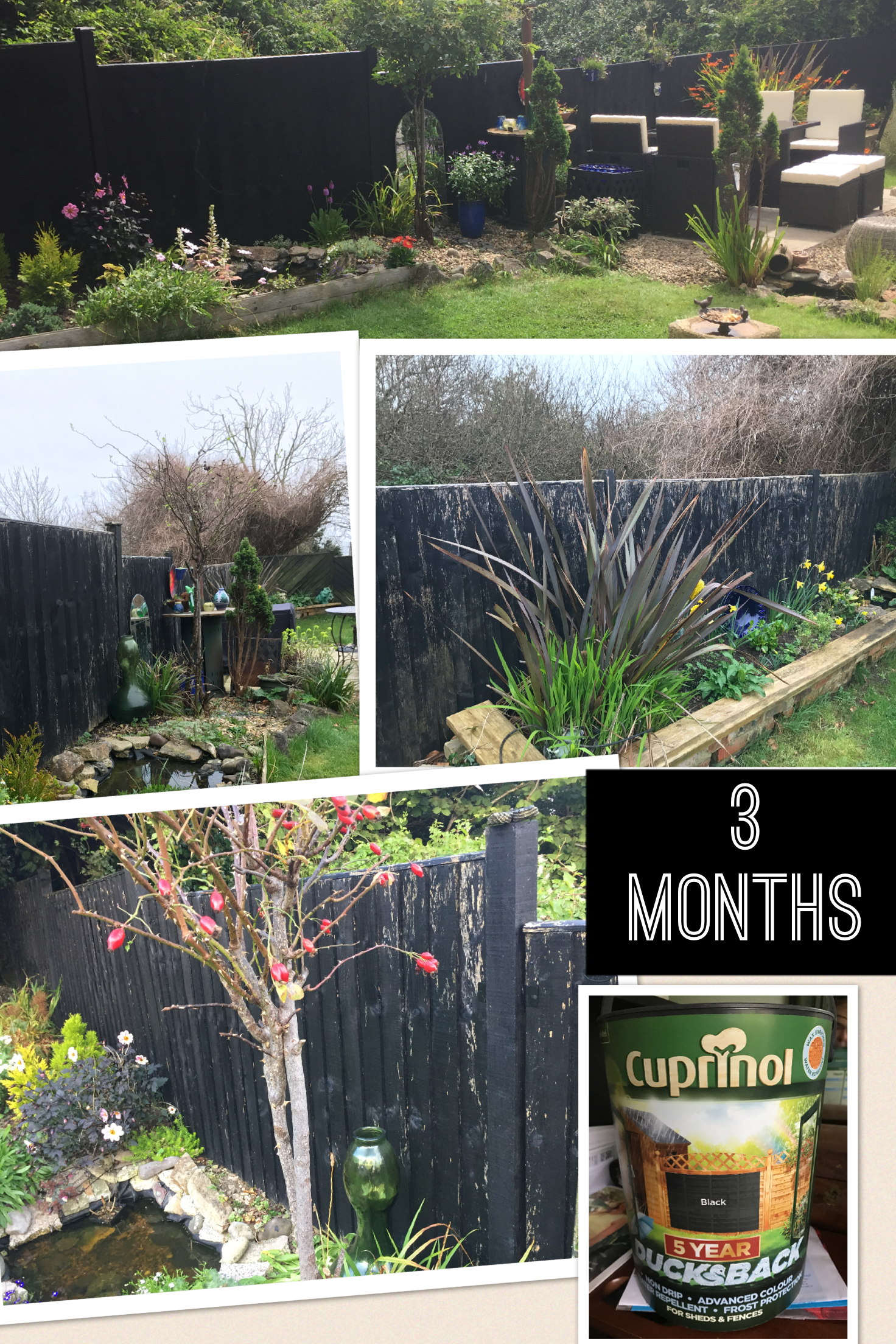 Cuprinol Ducksback paint — BBC Gardeners' World Magazine Cuprinol Ducksback paint — BBC Gardeners' World Magazine