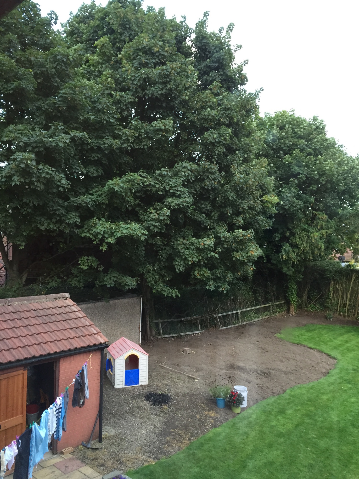 Overhanging neighbours trees Page 3 — BBC Gardeners' World Magazine