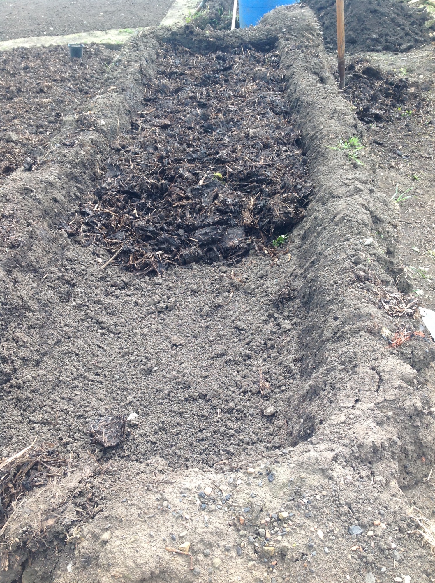 Crossword Conundrum Cracked:  Preparing Soil For Planting Success - xd7jufi