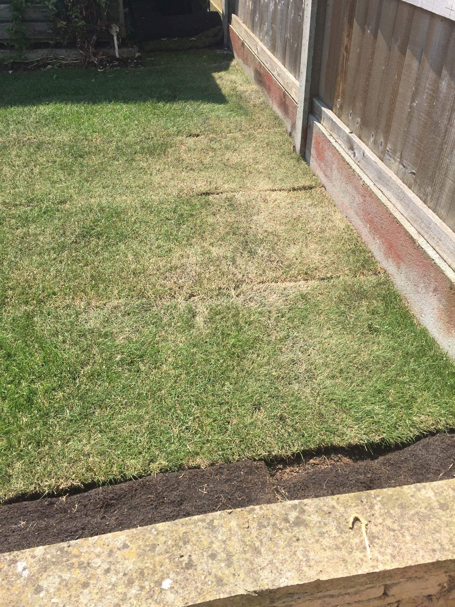 Newly Laid Turf Yellow Bbc Gardeners World Magazine