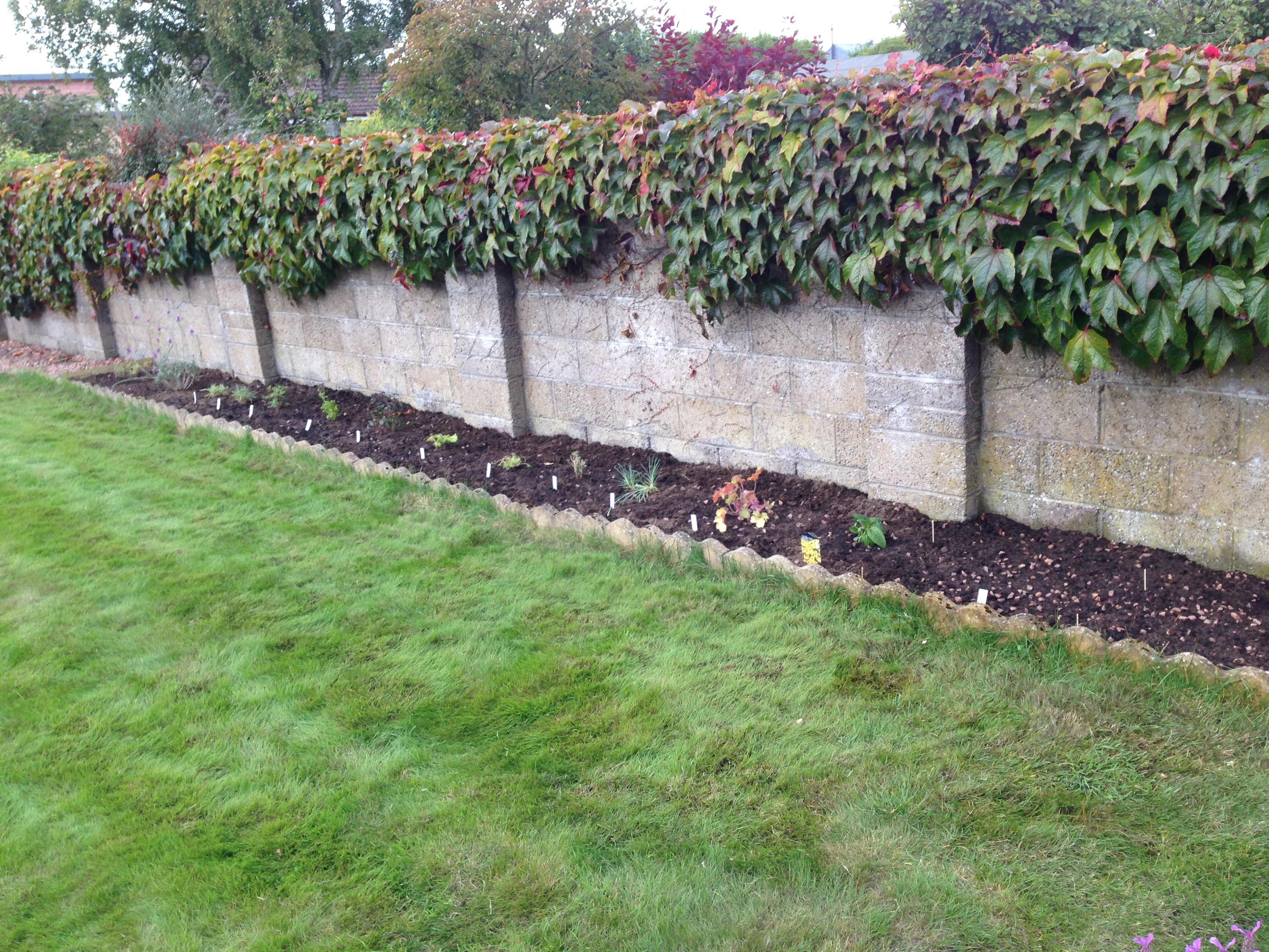 Beginner looking to make flower bed Page 2 — BBC Gardeners' World