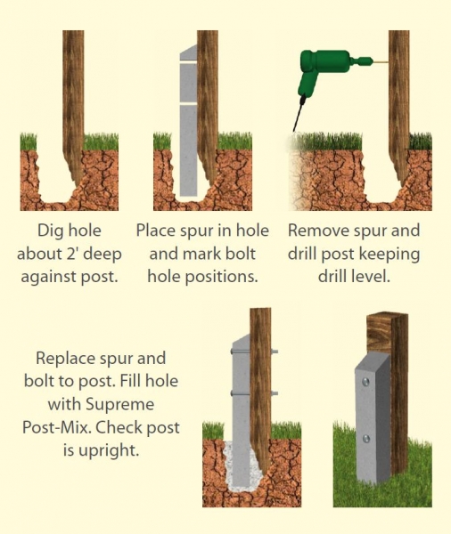 Neighbours Ivy damaged fences severely Page 2 — BBC Gardeners' World