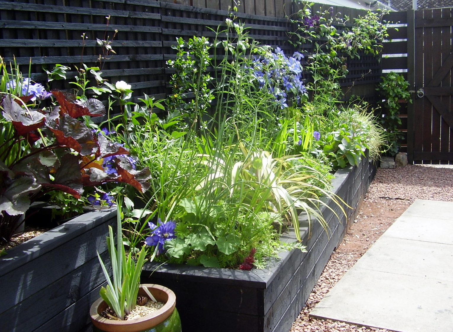 Wood for raised beds — BBC Gardeners' World Magazine