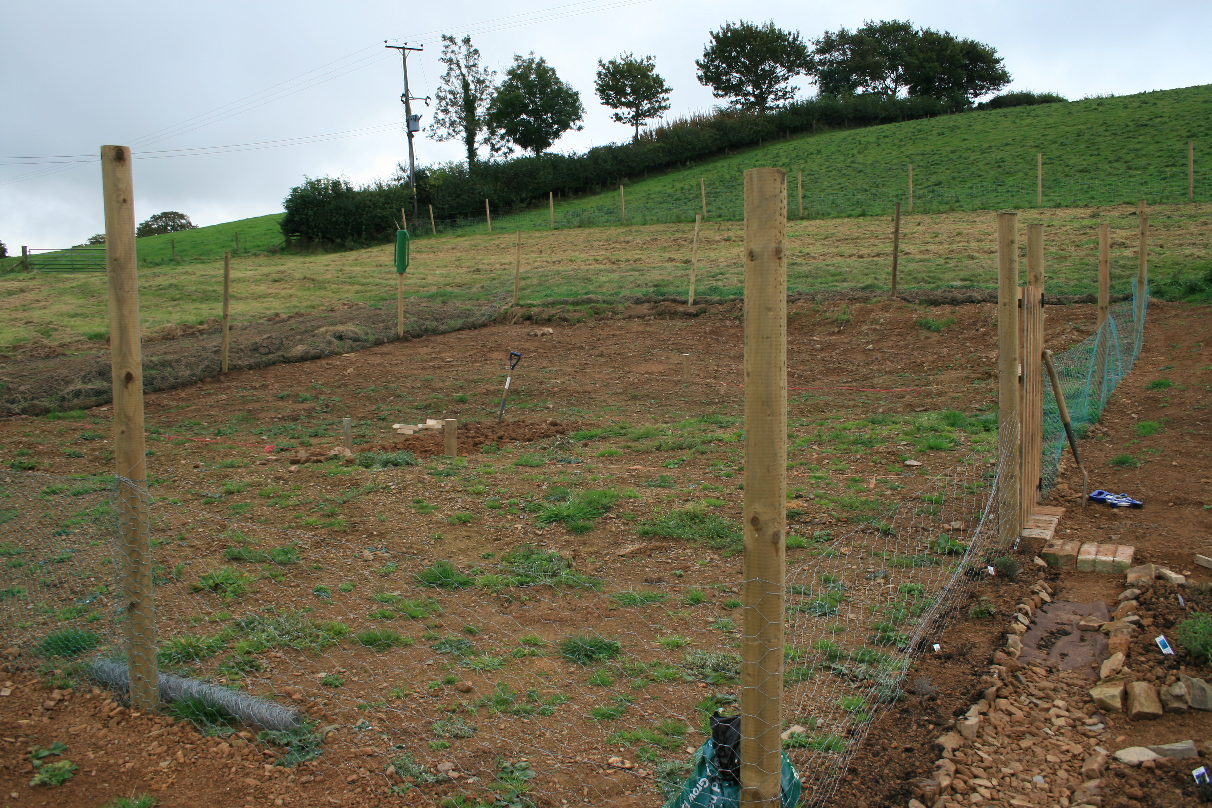 Installing Rabbit Proof Fencing Bbc Gardeners World Magazine Installing Rabbit Proof Fencing Bbc Gardeners World Magazine