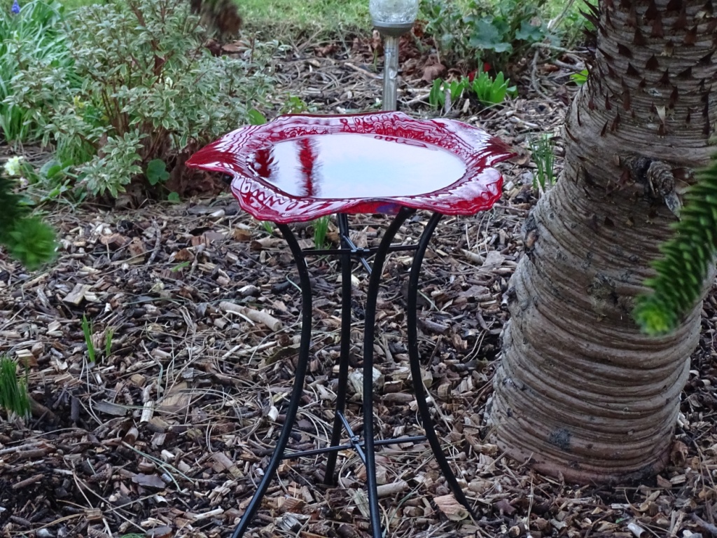 Glass poppy bird bath Page 2 — BBC Gardeners' World Magazine