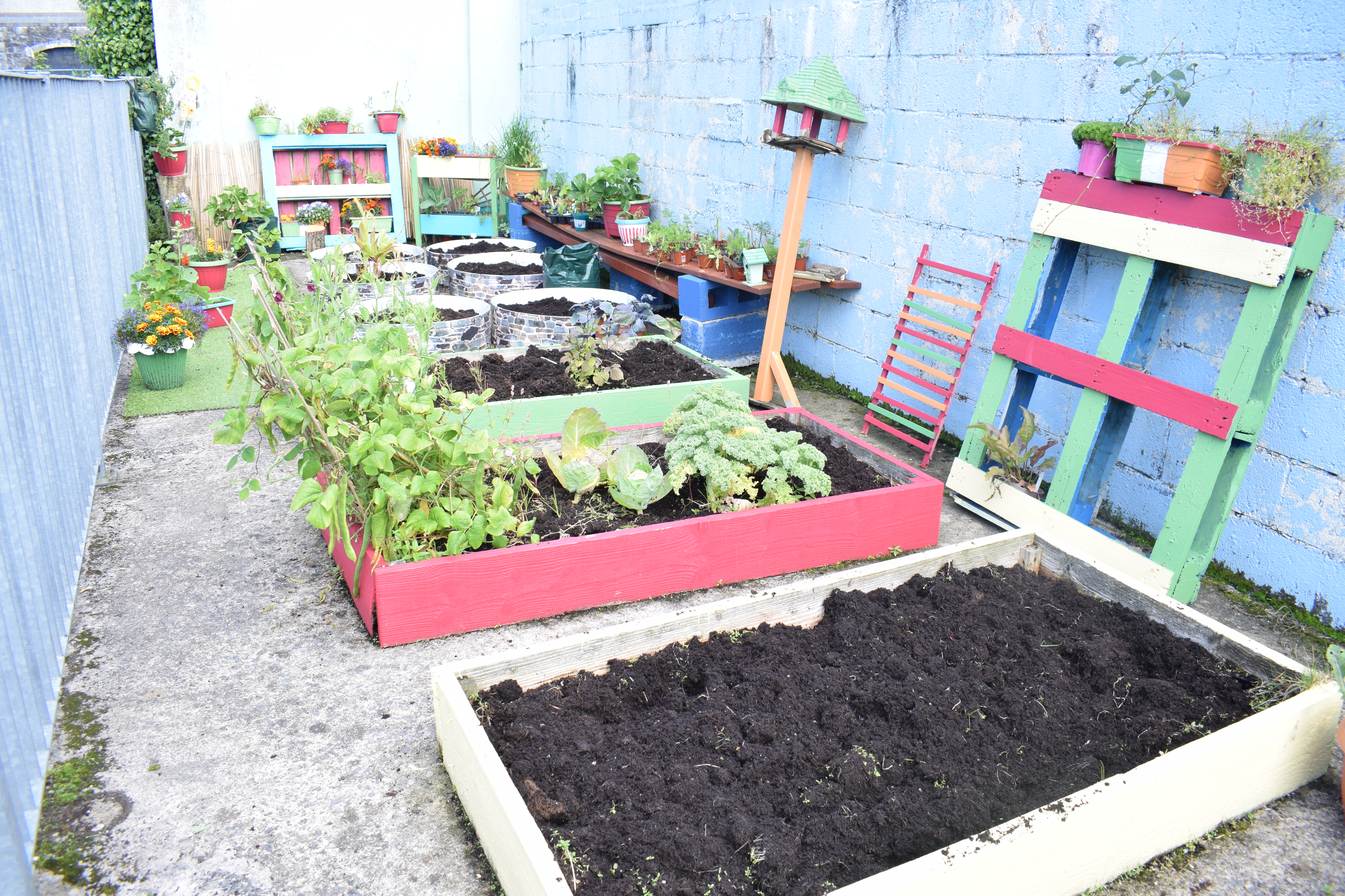 Our School Garden Ideas Forum Gardenersworldcom