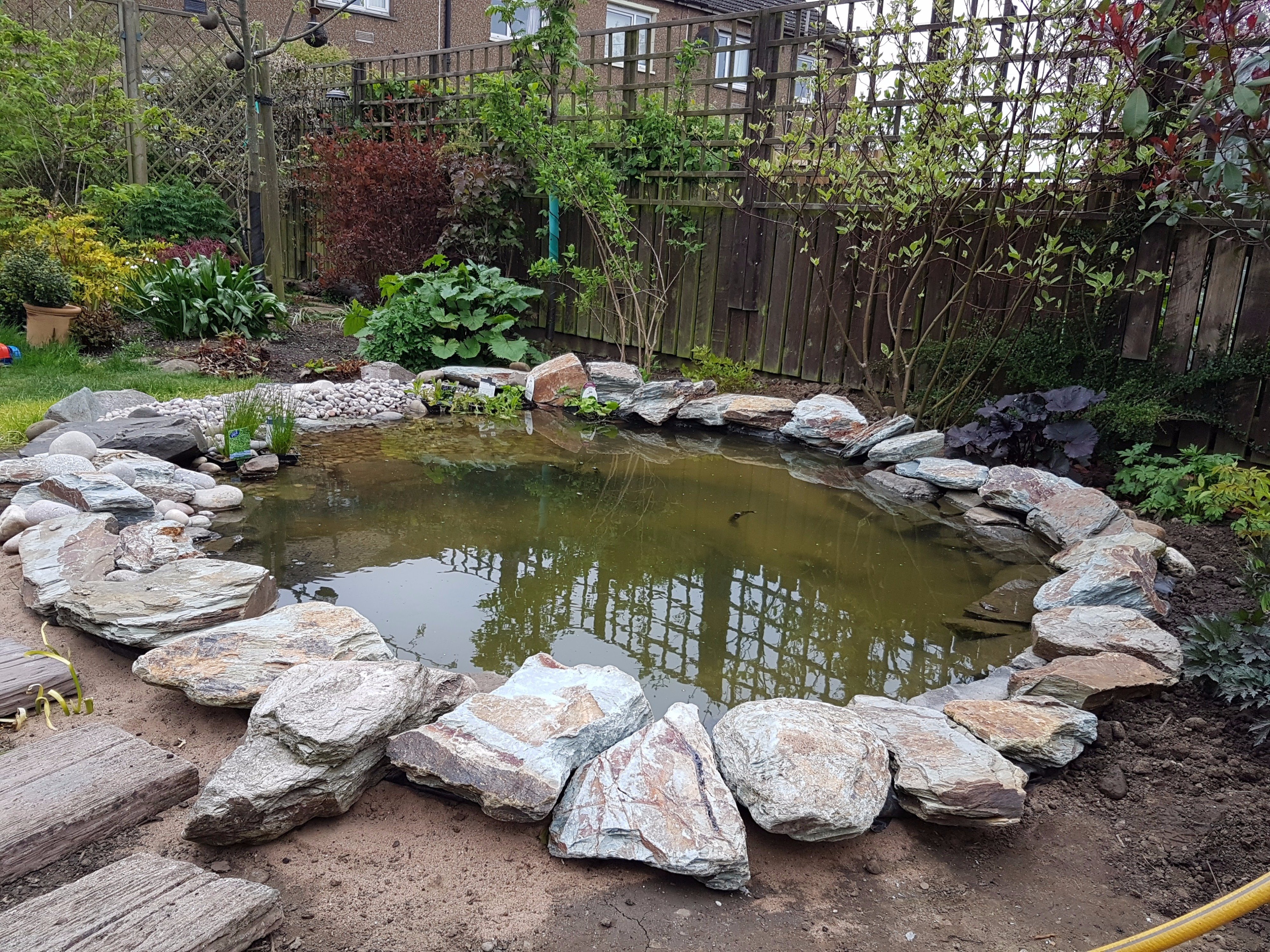 Natural Pond Edging Ideas - Best Decorations