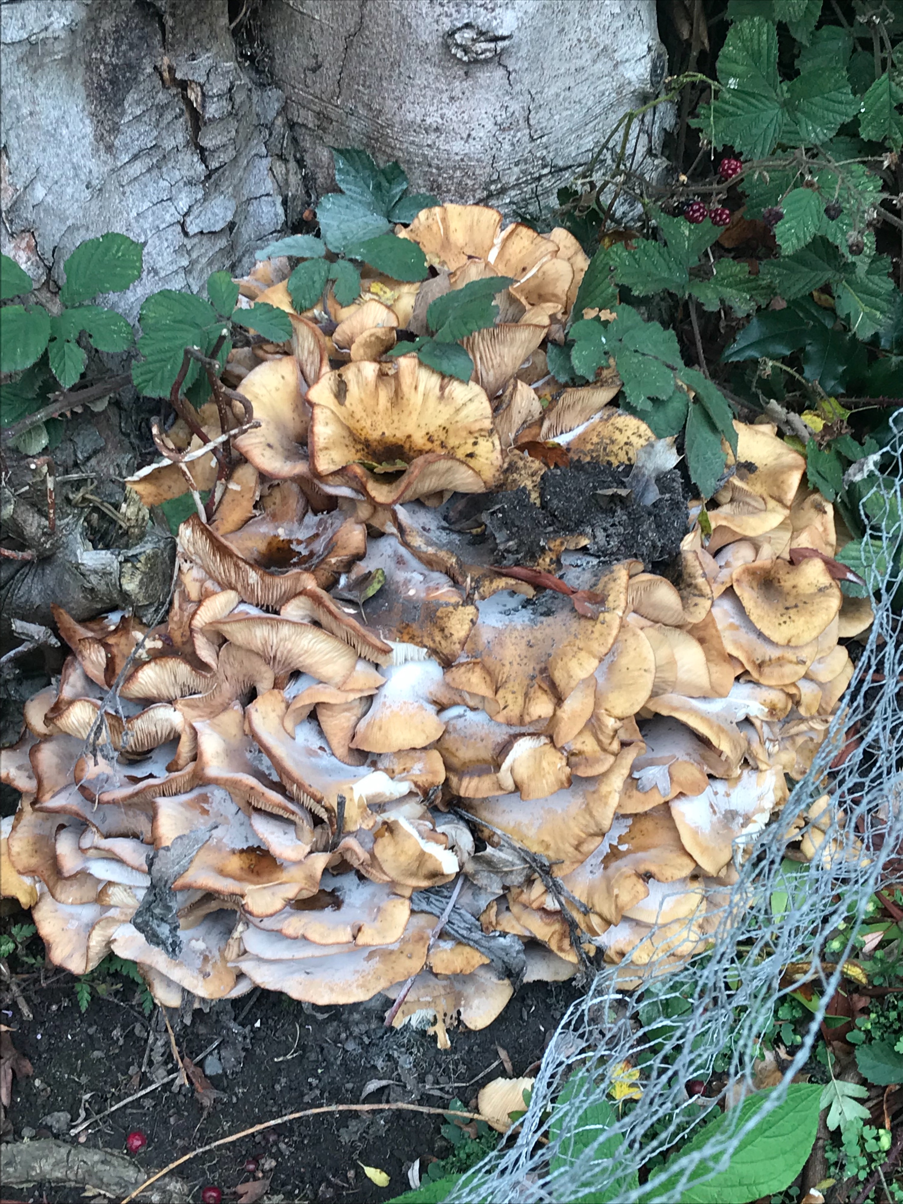 mushroom-on-a-stump-felting-fiber-arts-trustalchemy