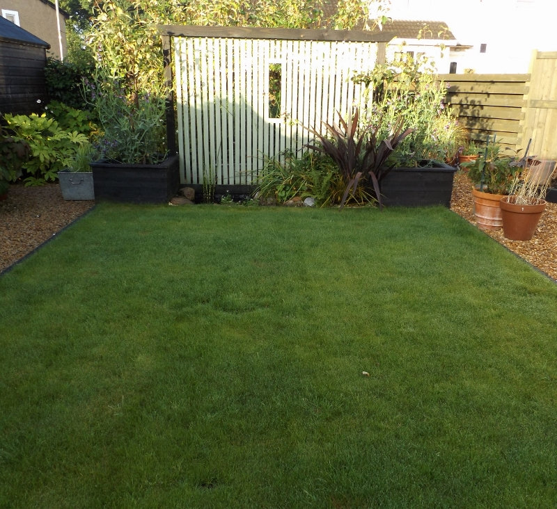 Which grass seed? — BBC Gardeners' World Magazine