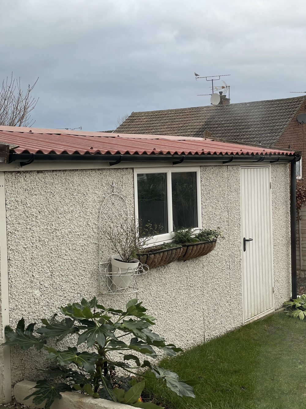 How to disguise ugly garage quickly — BBC Gardeners' World Magazine