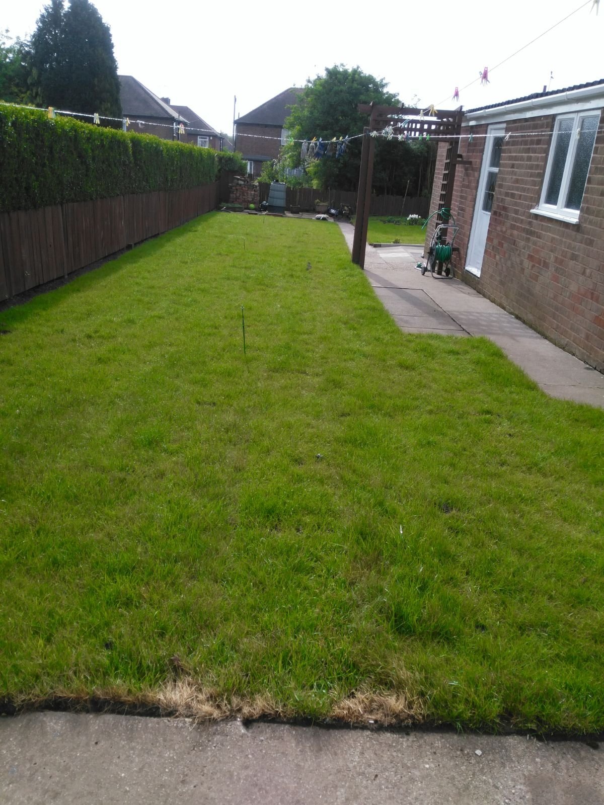 Newly laid turf turning yellow. — BBC Gardeners' World Magazine