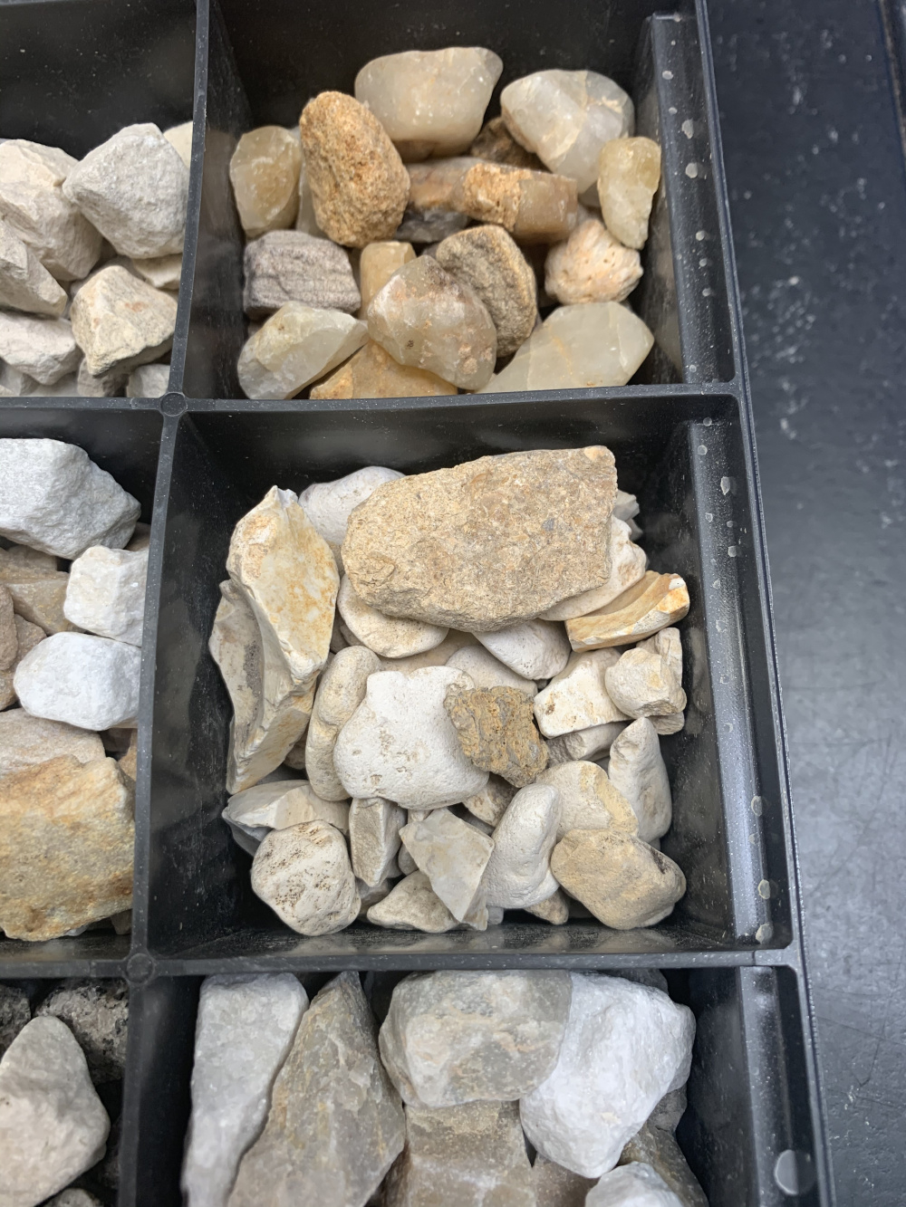 Garden chips — BBC Gardeners' World Magazine