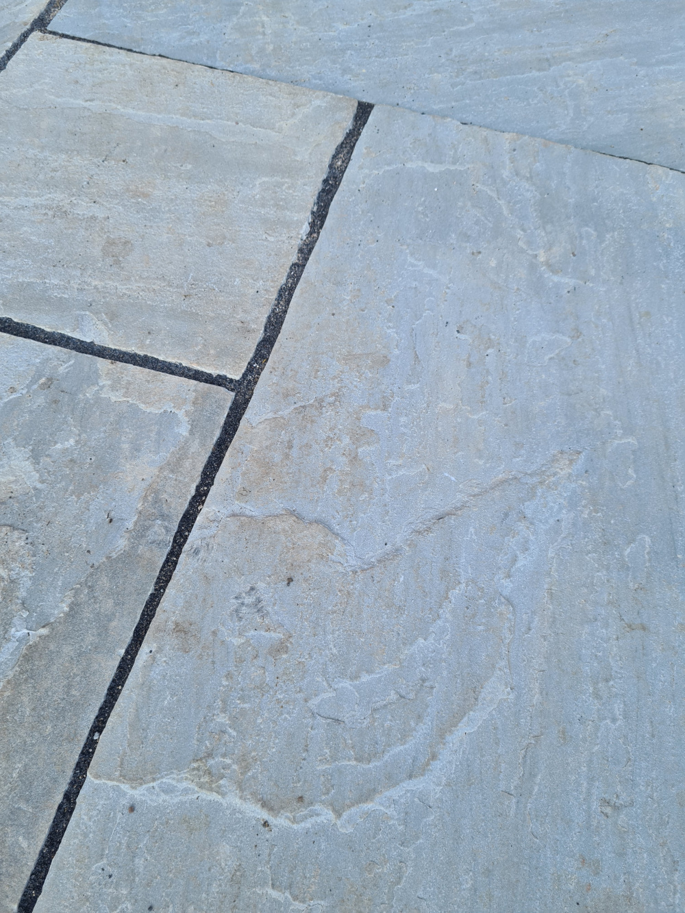Advice needed How to clean Indian Sandstone patio — BBC Gardeners' World Magazine Advice needed How to clean Indian Sandstone patio — BBC Gardeners' World Magazine