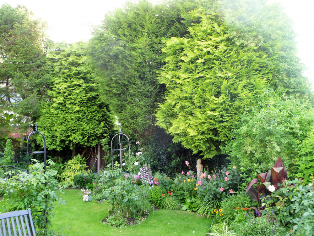 Image: https://us.v-cdn.net/6030279/uploads/editor/4b/w8olsckslice.jpg