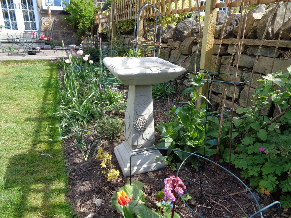 Image: https://us.v-cdn.net/6030279/uploads/editor/4x/jmt2g9635uad.jpg