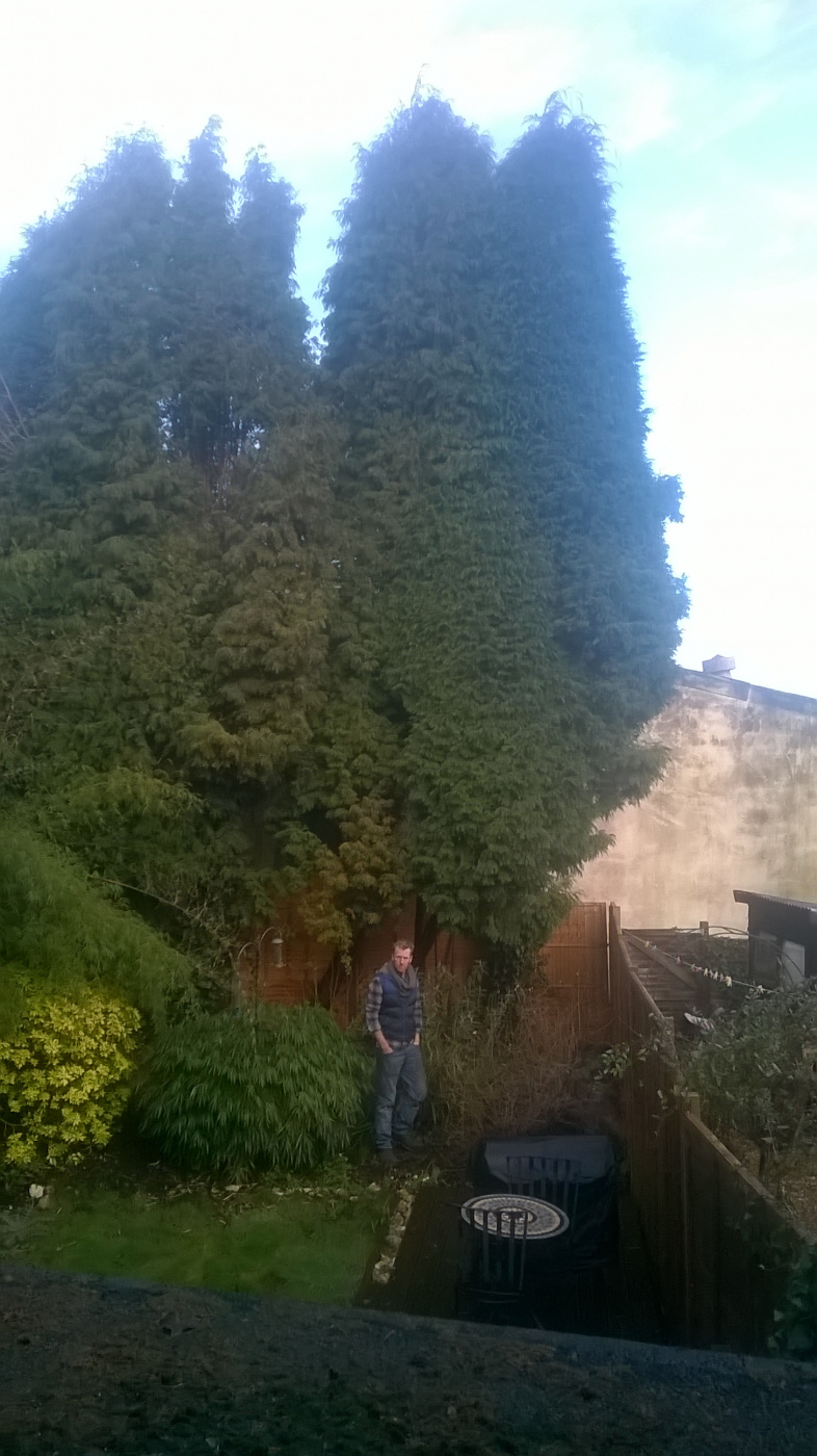 Image: https://us.v-cdn.net/6030279/uploads/editor/6t/avh1400nzh38.jpg